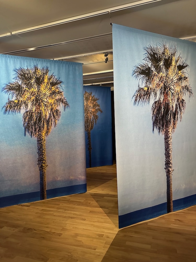 Total Palm Tree - Corinne Vionnet
